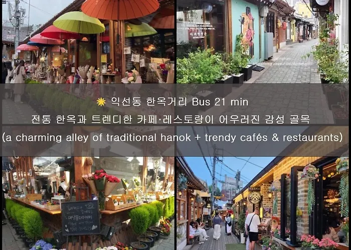 서울 종로 밤비 라 벨르 Séoul